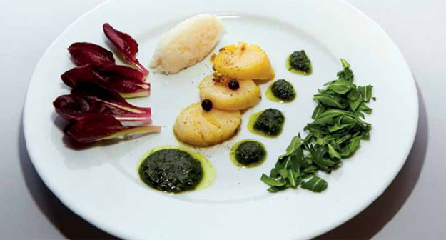 Jakobsmuscheln mit Korianderpesto