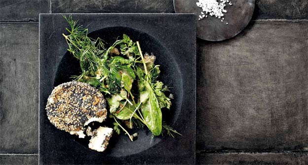 Ziegenfrischkäse im Mohn/Sesam-Mantel auf Kräutersalat