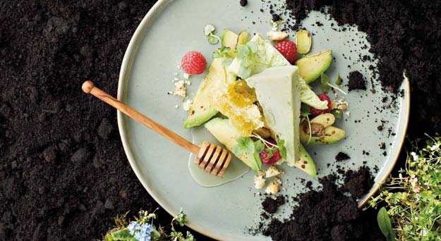 Avocado / Ingwer-Parfait mit Himbeeren