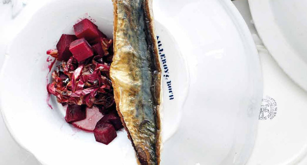 Makrele auf Cicorino rosso/Randen-Gemüse