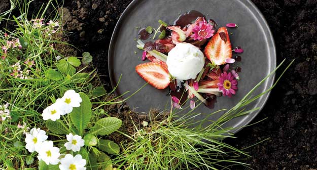 Rhabarberkompott / Erdbeeren und Stangensellerie mit einer Joghurt-Glac