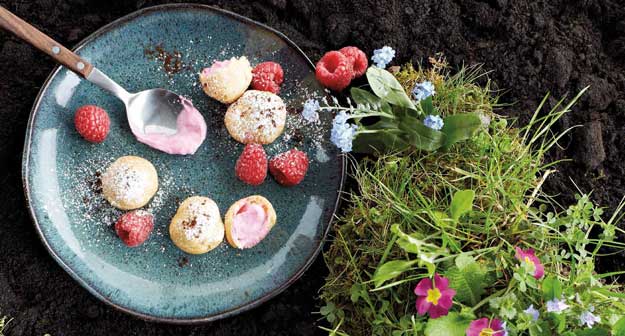 Kaffee- Profiteroles mit Randen/Himbeer-Mousse