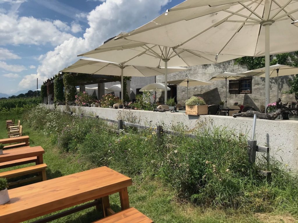 Die grosse Terrasse liegt mitten im Weinberg.