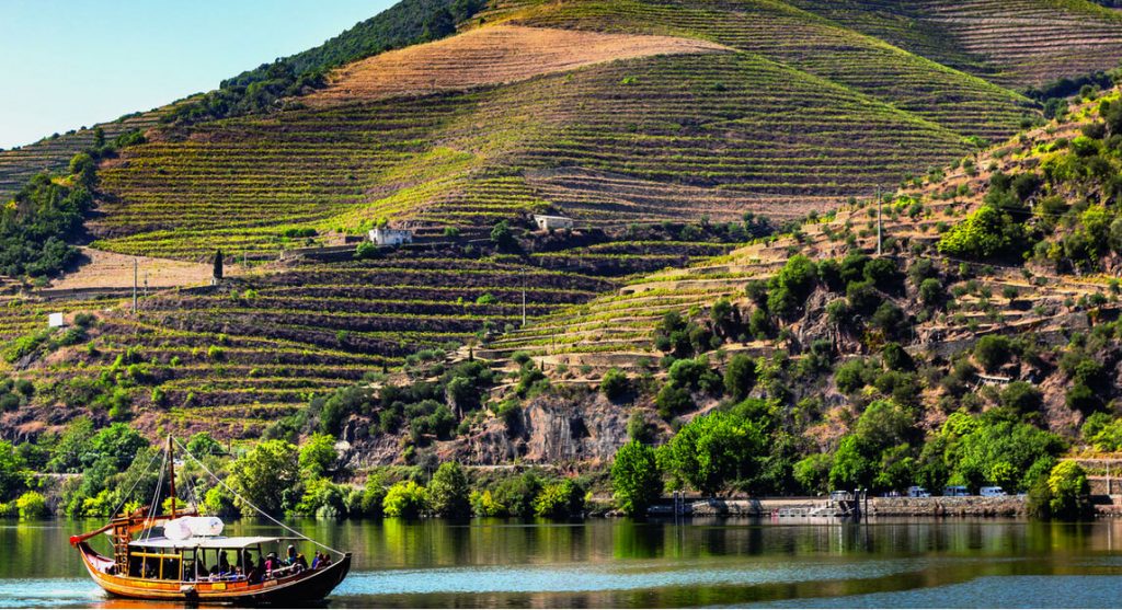 Grosse Weine vom Douro