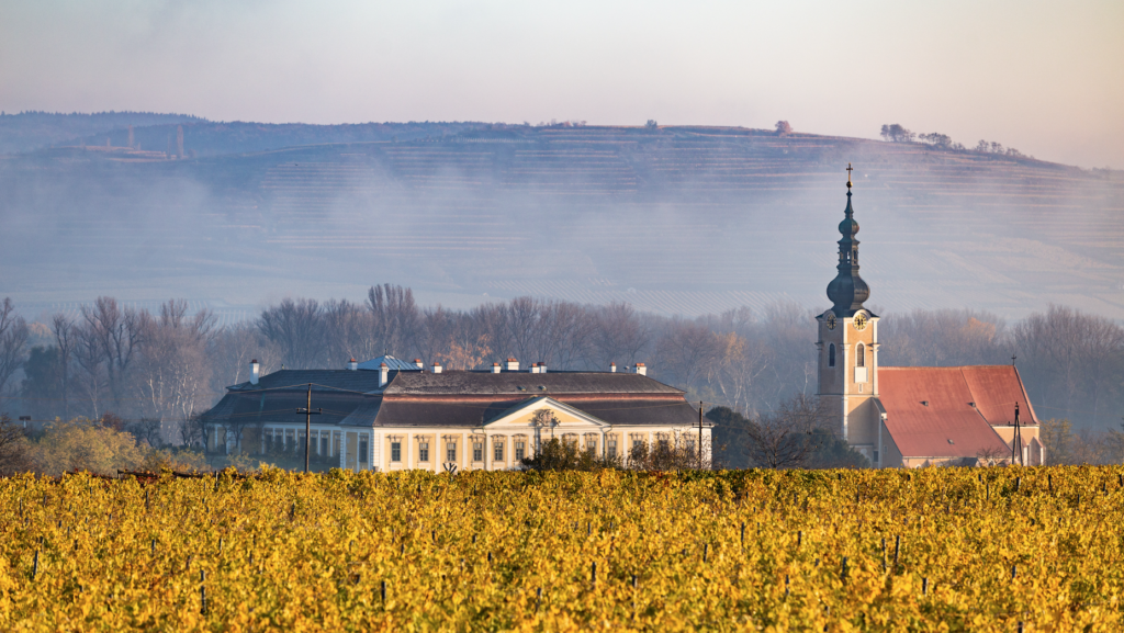 Önologische Highlights von Schloss Gobelsburg