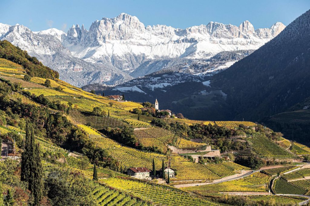 Hommage an Südtirols Weinbaupioniere