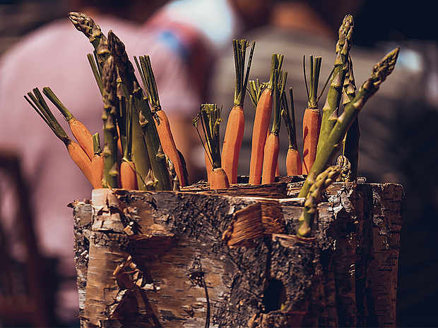 Gewinnen Sie ein Wald-Dinner