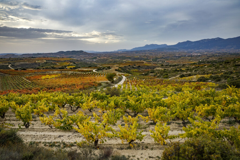 Rioja ist mehr als Stilweine – entdecken Sie die Diversität der Terroirs