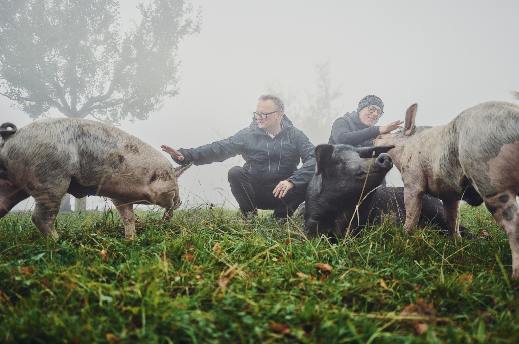 Von Schwein und Wein