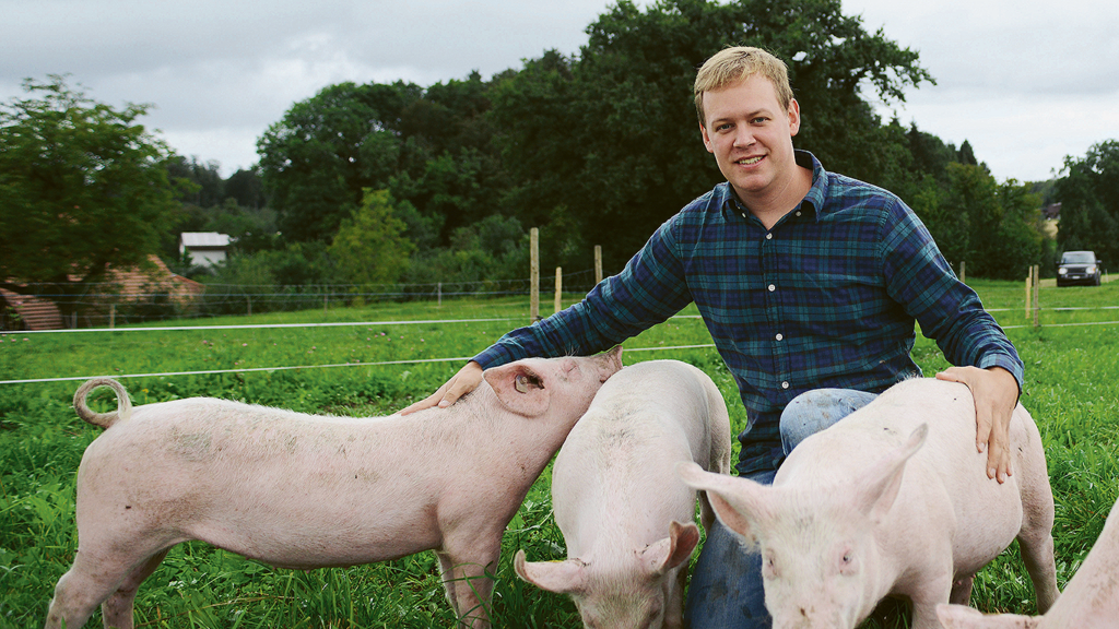 «Es gibt keinen Grund, ein Schwein nicht auf der Wiese zu halten»