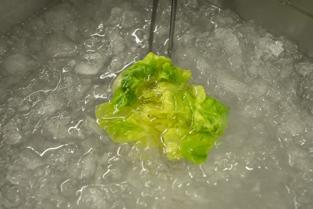 Blattsalat und Sterne